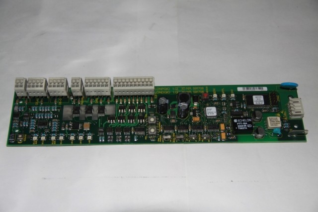 591706.jpg